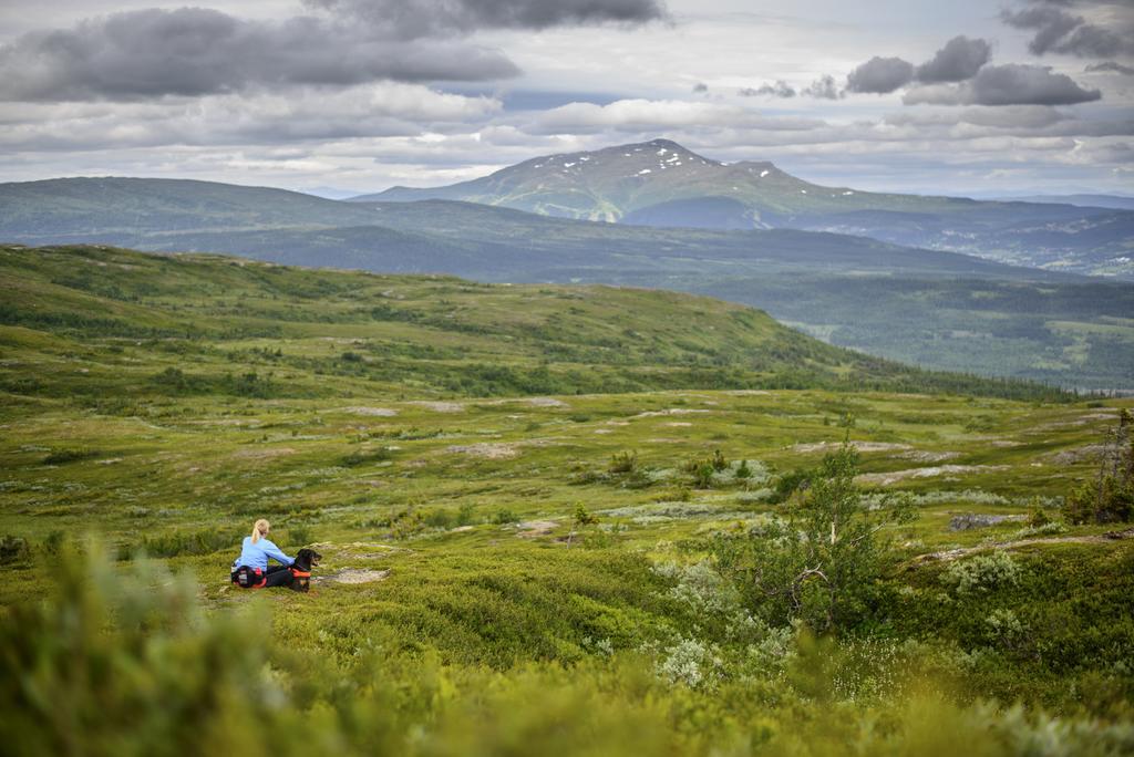 Trillevallens Apartments Åre Extérieur photo